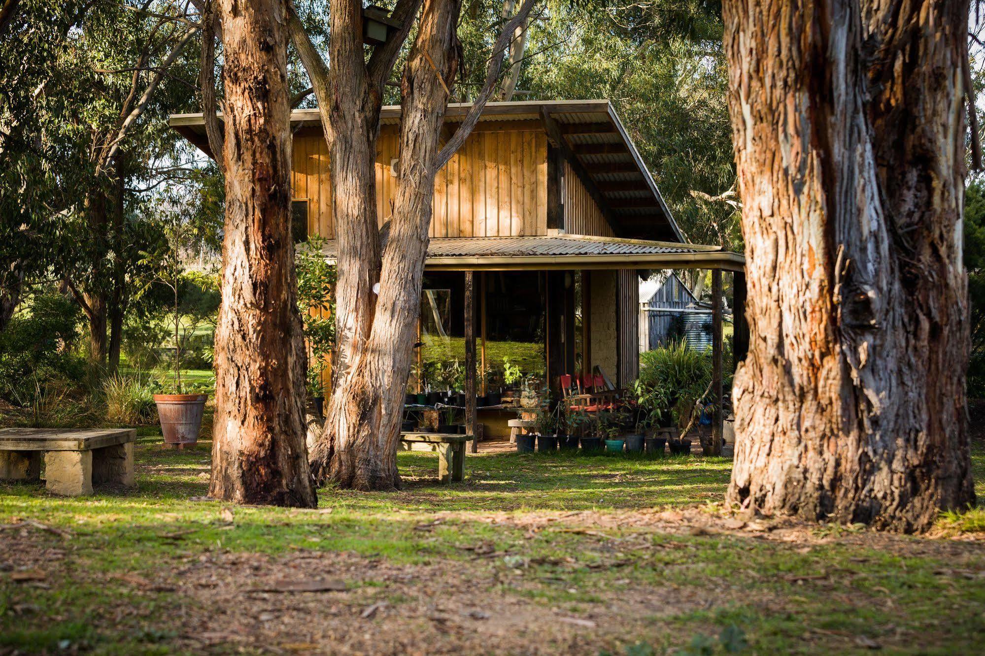 Вилла The Burrow At Wombat Bend Dixons Creek Экстерьер фото
