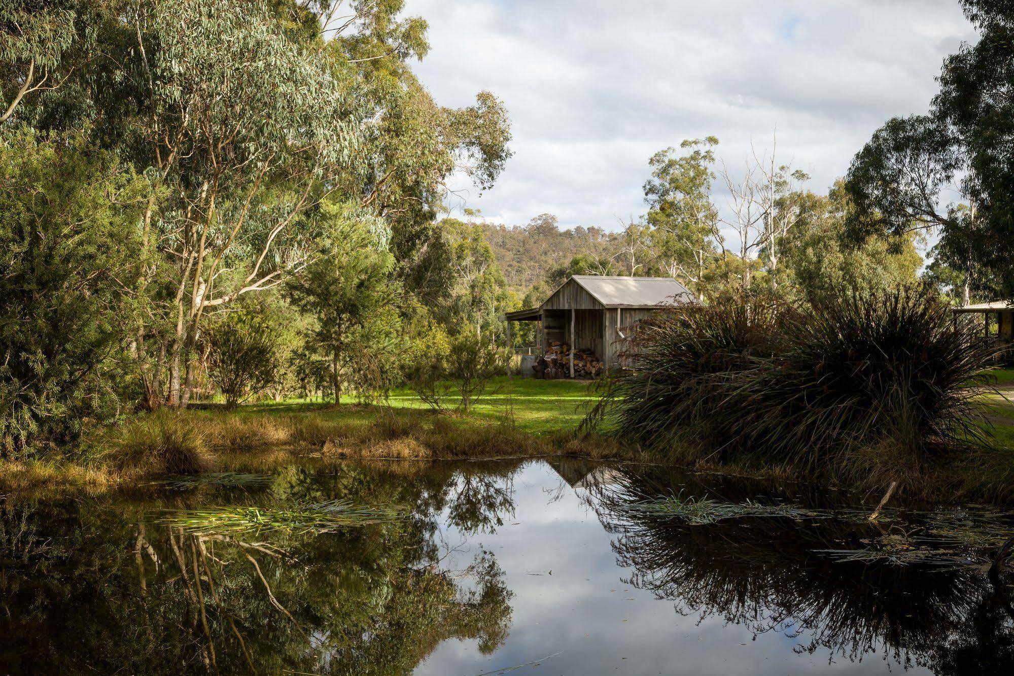Вилла The Burrow At Wombat Bend Dixons Creek Экстерьер фото