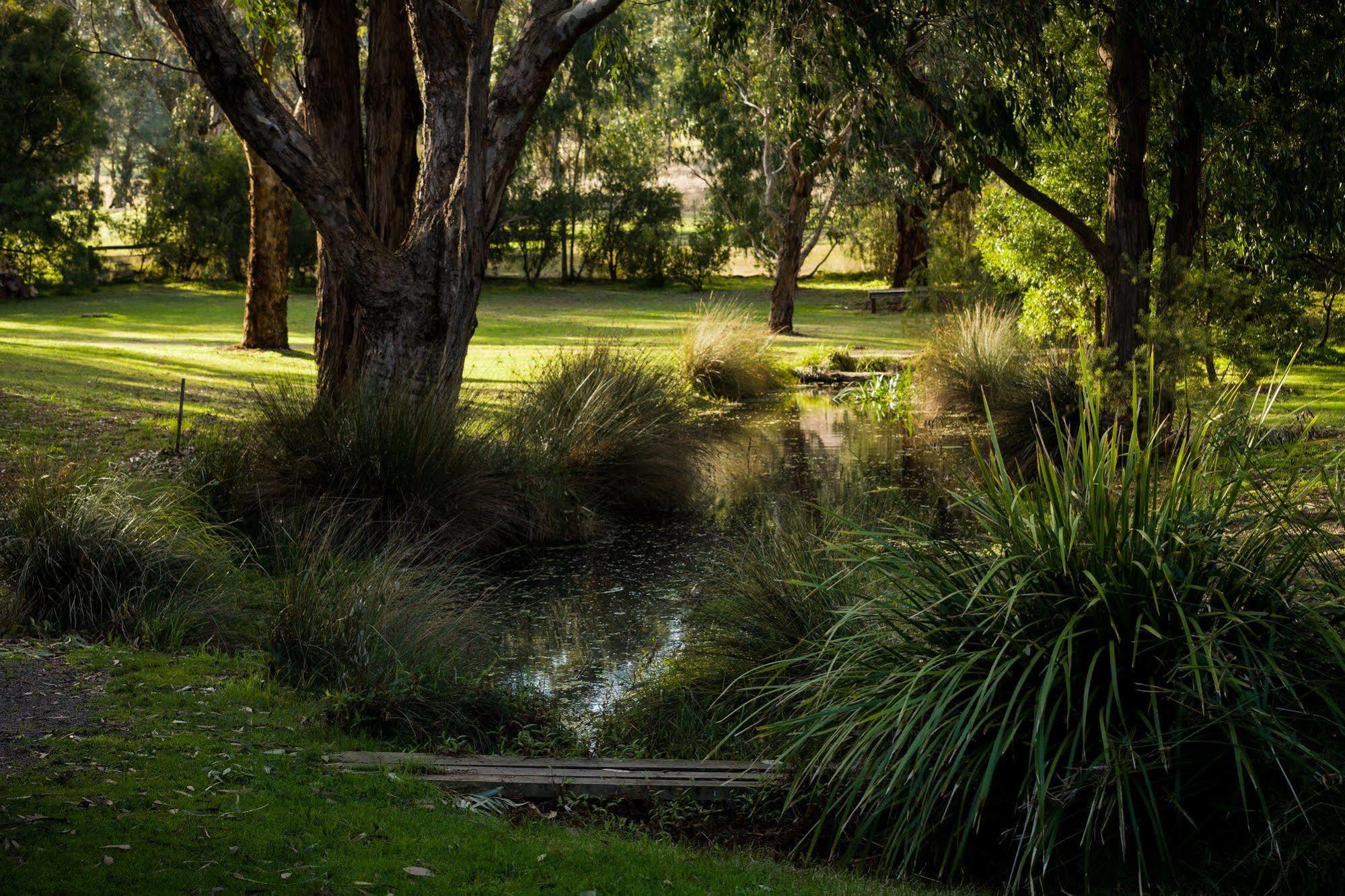 Вилла The Burrow At Wombat Bend Dixons Creek Экстерьер фото
